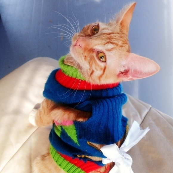 Make an offer week - Picture 10 of 11